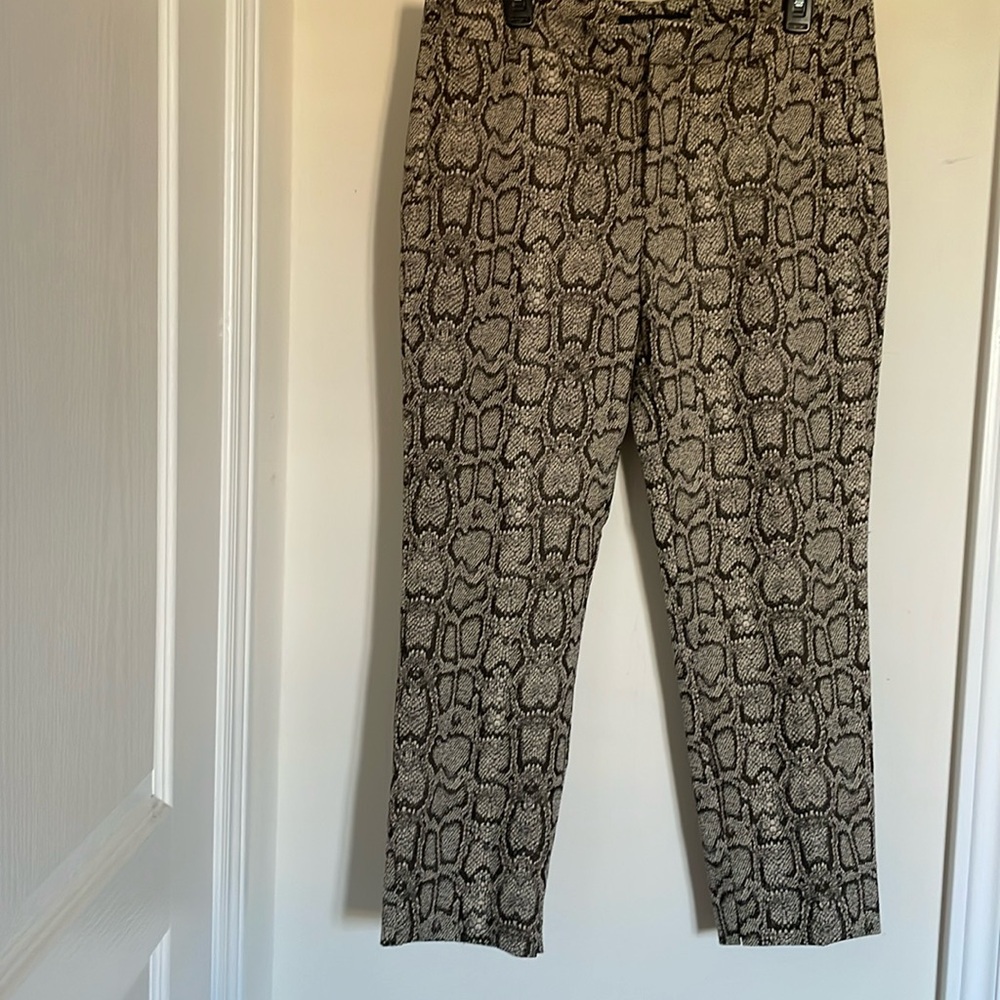 Zara straight leg snake print pants.